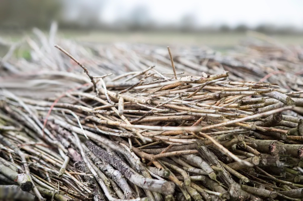 Close-up of wooden fencing material